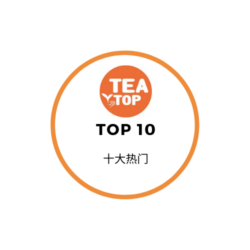Top 10 十大热门